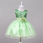 Bébé Sequin Robe Fleur Fille De Mariage Princesse Robe