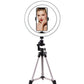 Led ring light